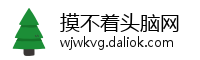 摸不着头脑网